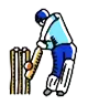 Cricket Pitch